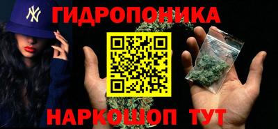 молекула духа Коммунар