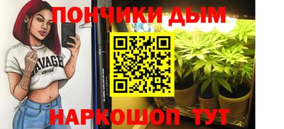 молекула духа Коммунар