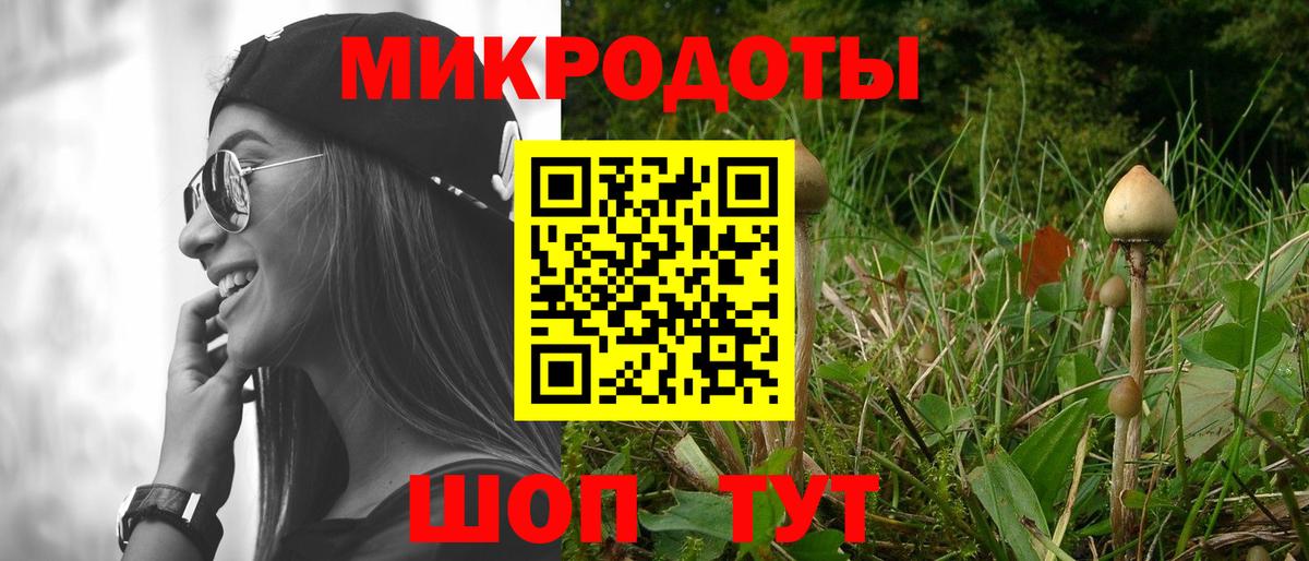 Псилоцибиновые грибы MAGIC MUSHROOMS  Псилоцибиновые грибы мицелий  Вход с VPN  наркотики  Заводоуковск 
