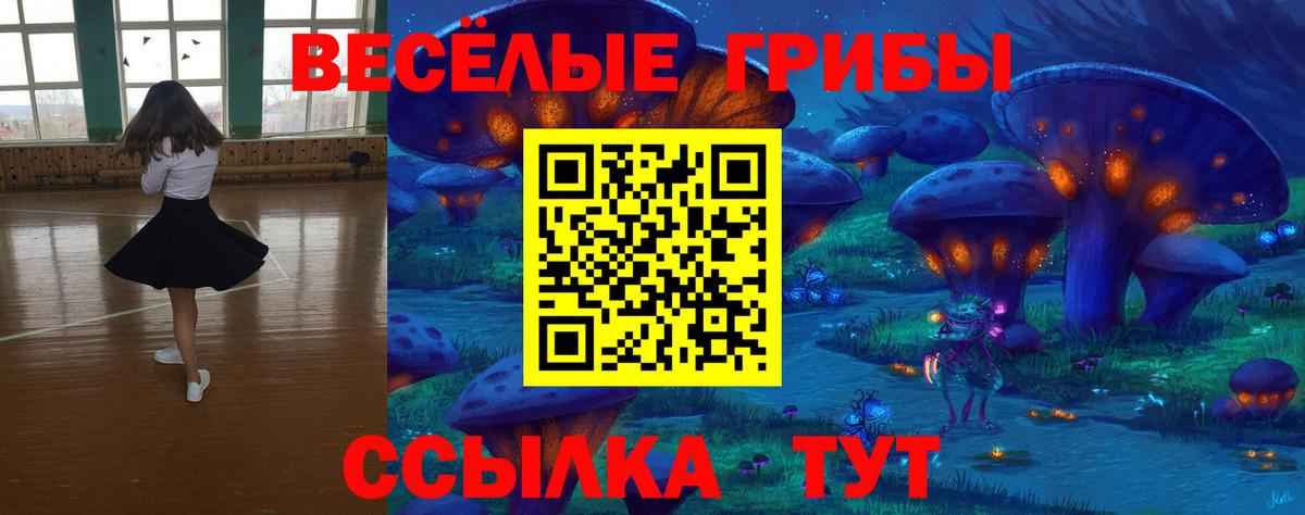 Псилоцибиновые грибы прущие грибы Заводоуковск