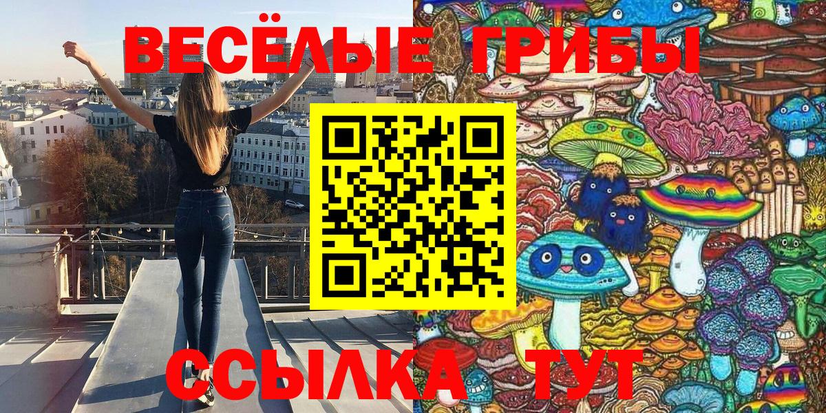 Псилоцибиновые грибы Заводоуковск